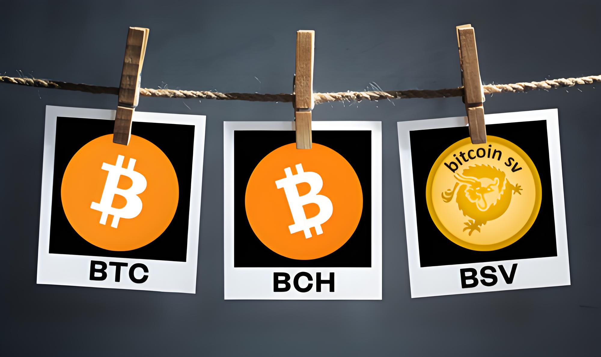 OE交易平台安全指南：资金如何保障？手续费怎么计算？